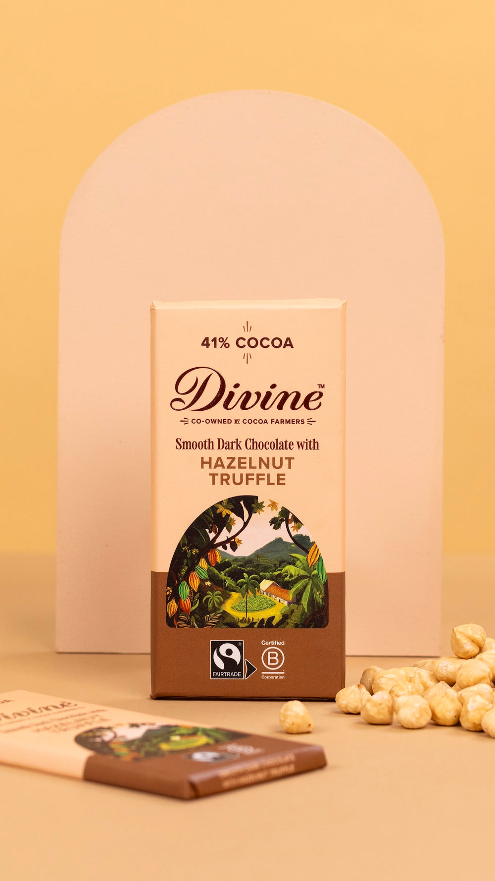 Divine Dark Chocolate with Hazelnut Truffle