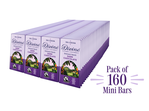 Divine 70% Dark Chocolate 12.5g bars x 160