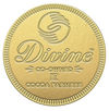 Divine Milk Chocolate Giant Coin 58g