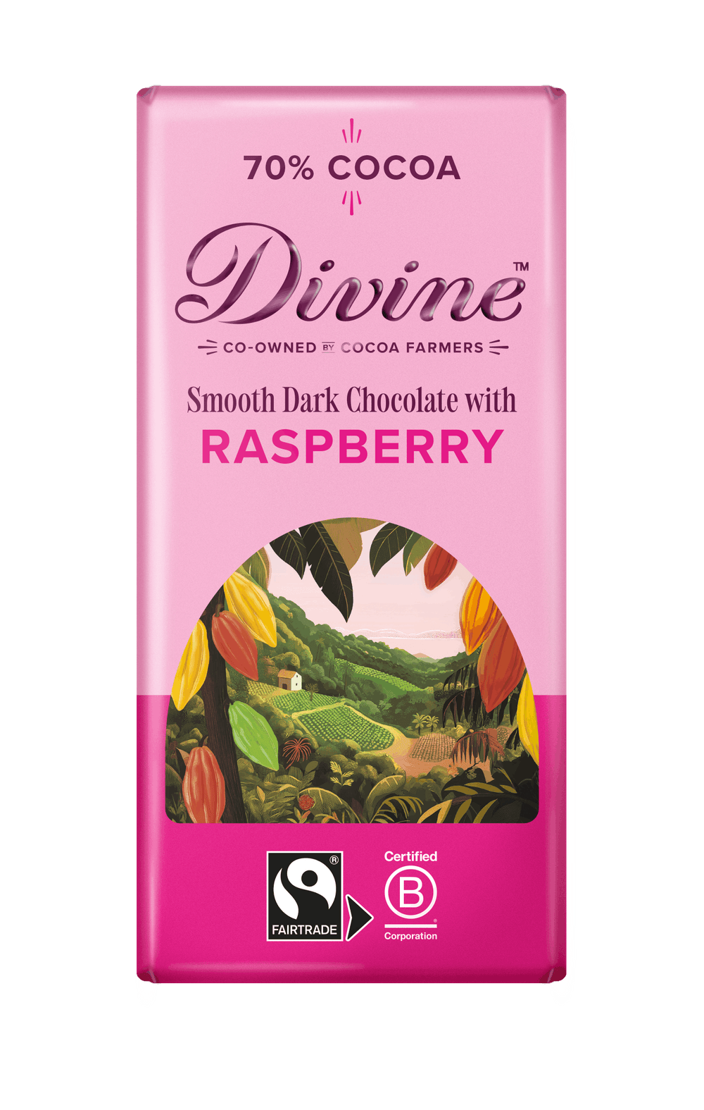 Divine 70% Dark Chocolate with Raspberries